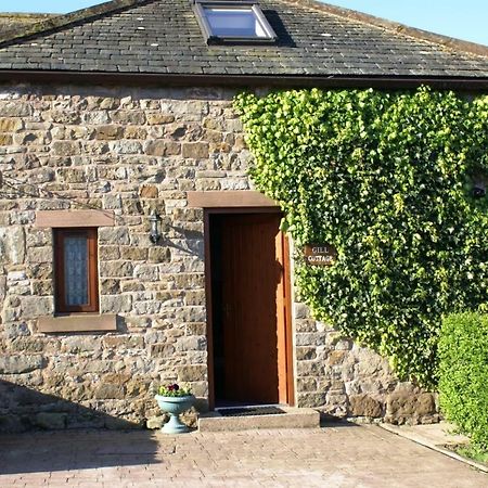 Castle Carrock Gill Cottage מראה חיצוני תמונה