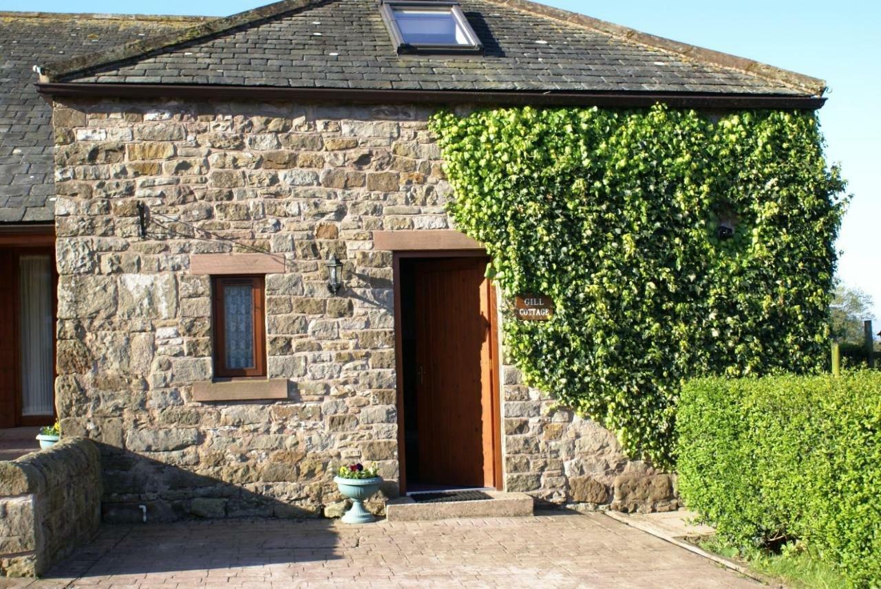 Castle Carrock Gill Cottage מראה חיצוני תמונה
